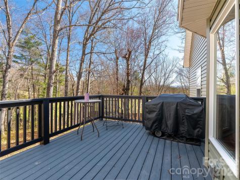 6 Jackson Cove Road Leicester NC 28748