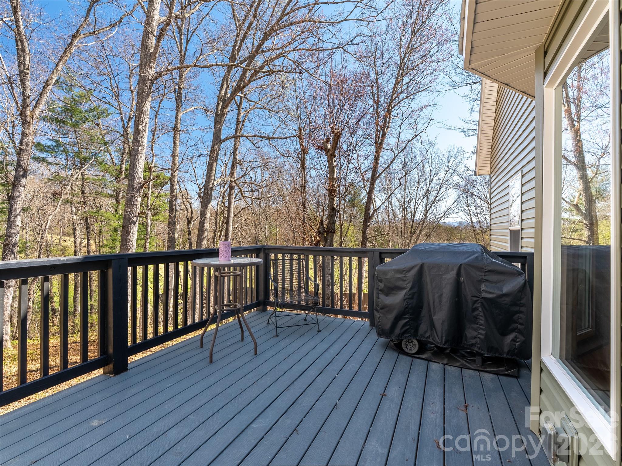 6 Jackson Cove Road Leicester NC 28748