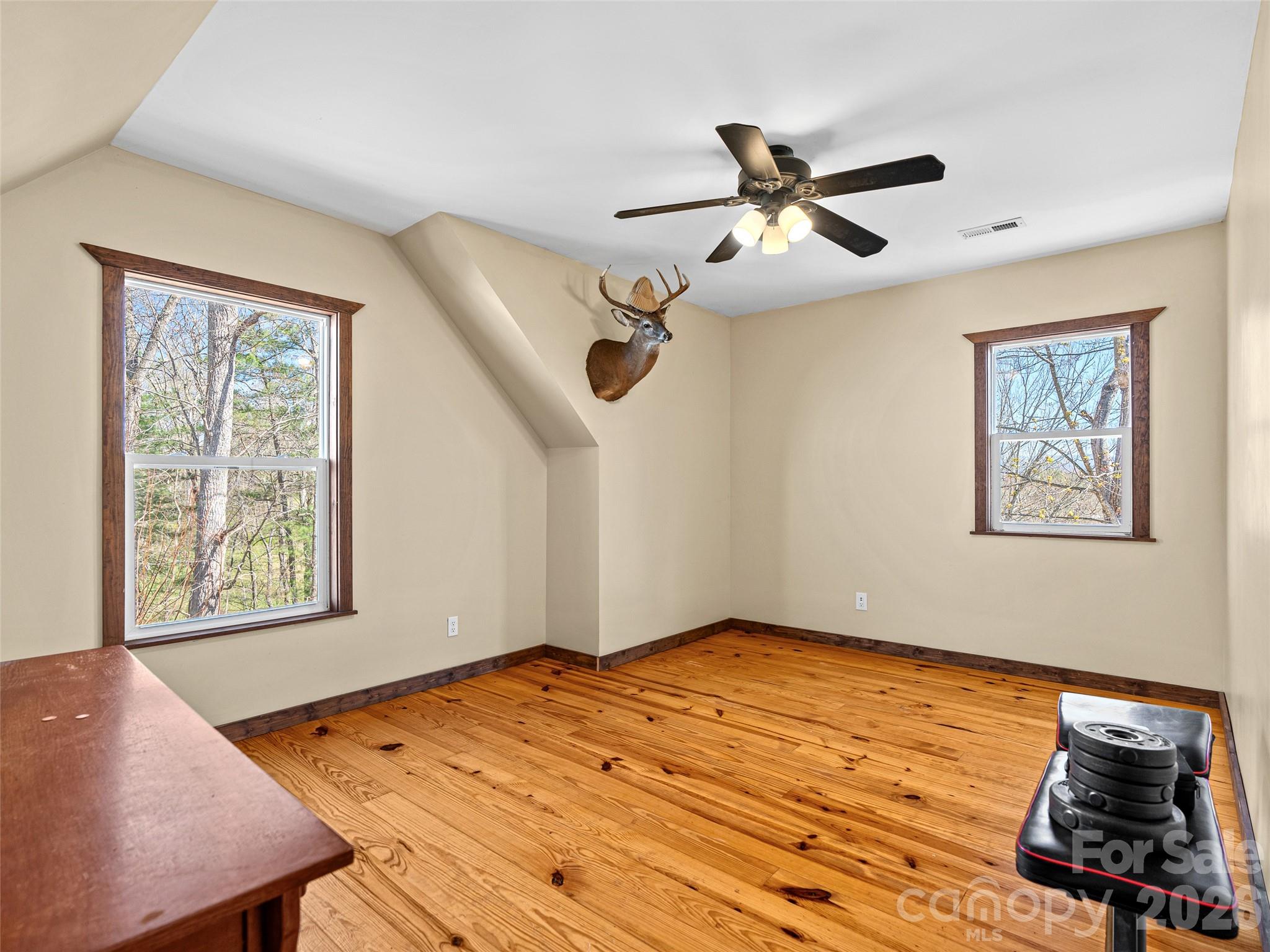 6 Jackson Cove Road Leicester NC 28748
