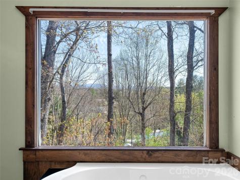 6 Jackson Cove Road Leicester NC 28748