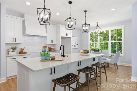 4299 Brandy Creek Court Clover SC 29710