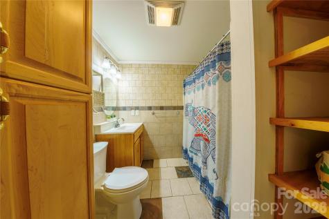 84 Forest Trail Balsam Grove NC 28708