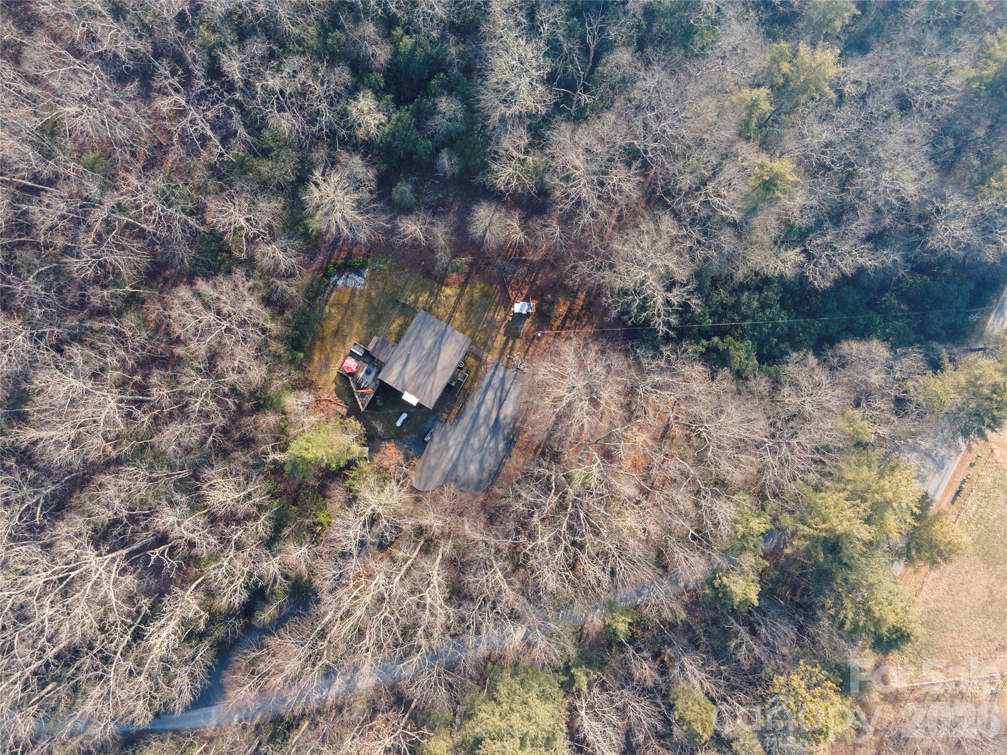 84 Forest Trail Balsam Grove NC 28708