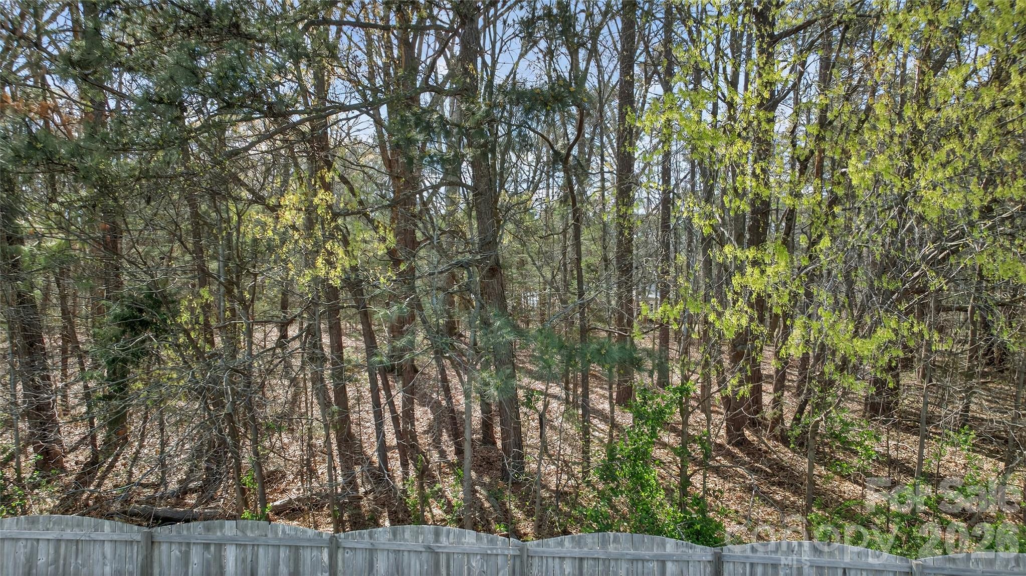 2408 Labelle Drive Waxhaw NC 28173