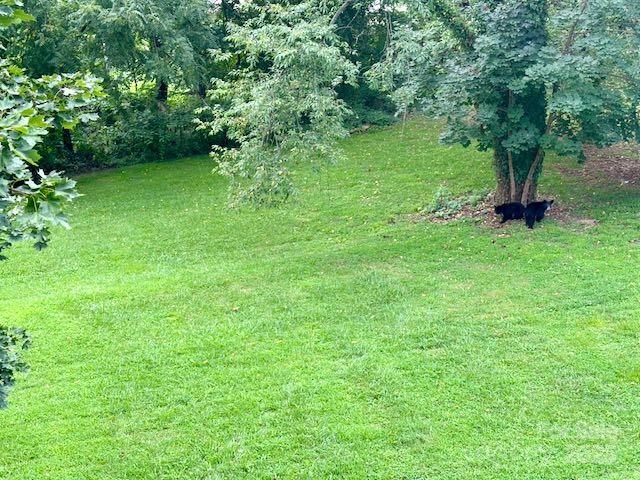 176 S French Broad Avenue Asheville NC 28801