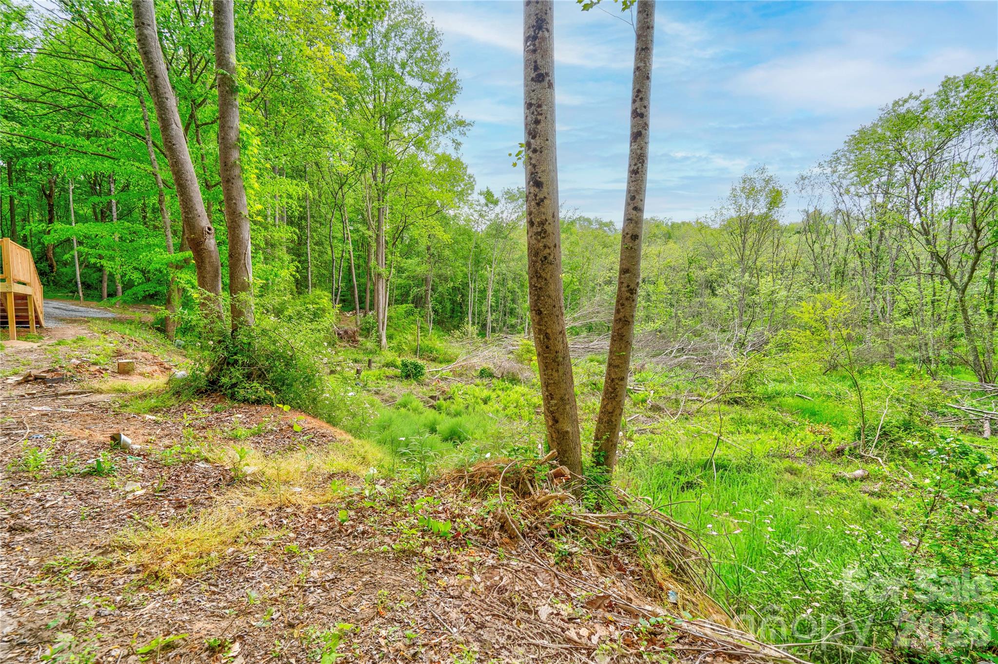 141 Knob Creek Drive Lawndale NC 28090