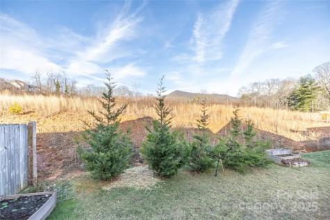20 Tudor Way Black Mountain NC 28711