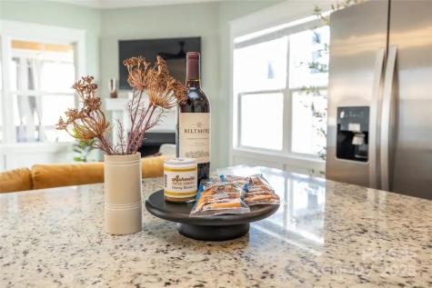 20 Tudor Way Black Mountain NC 28711