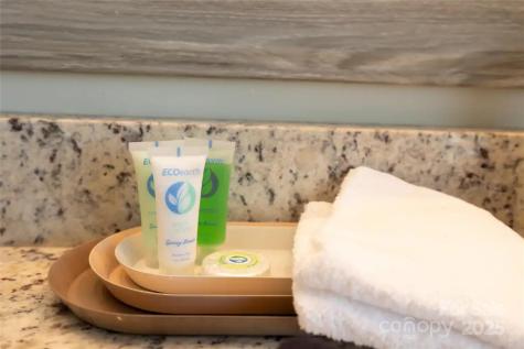 20 Tudor Way Black Mountain NC 28711