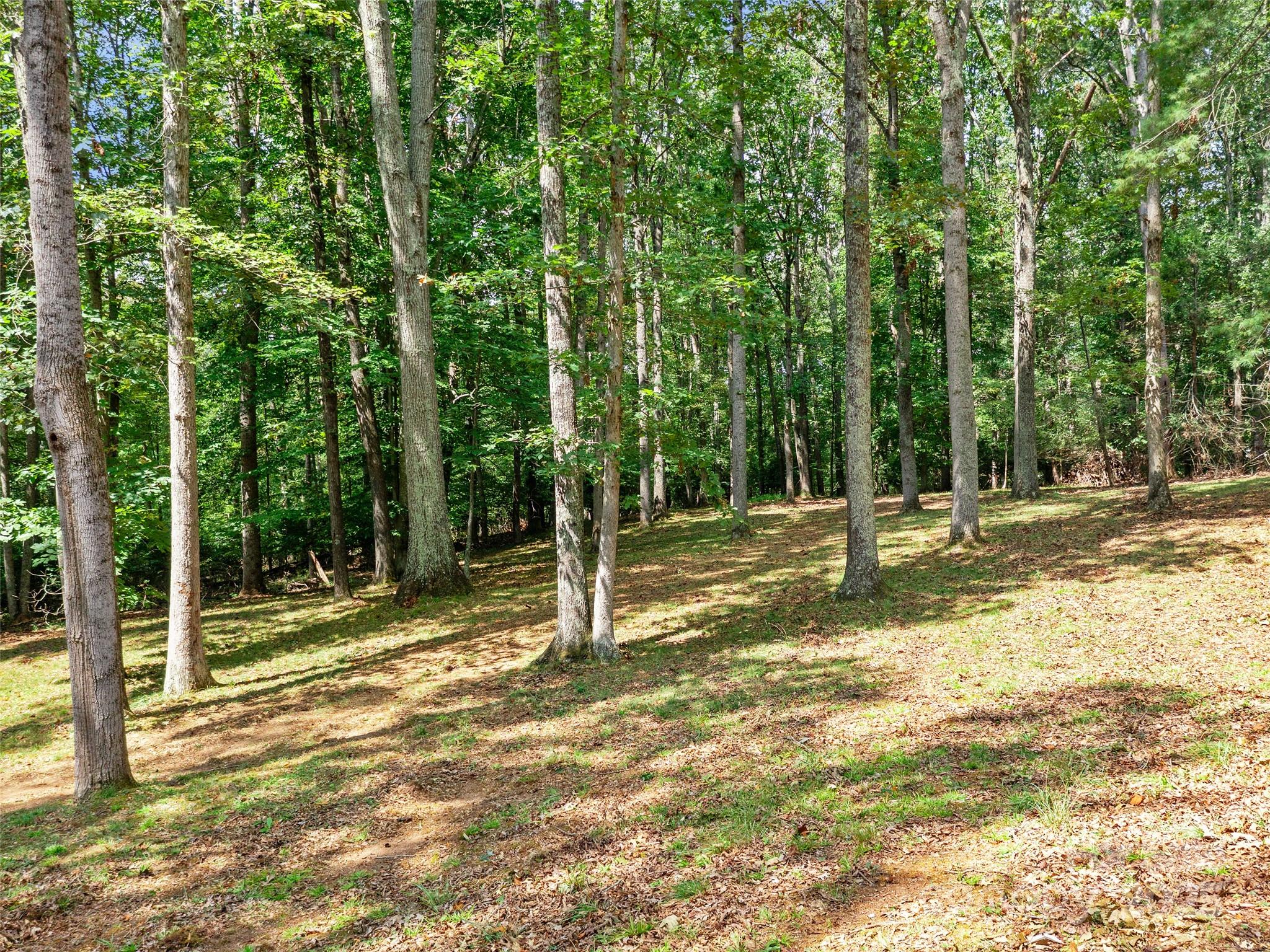 631 Macedonia Road Asheville NC 28804