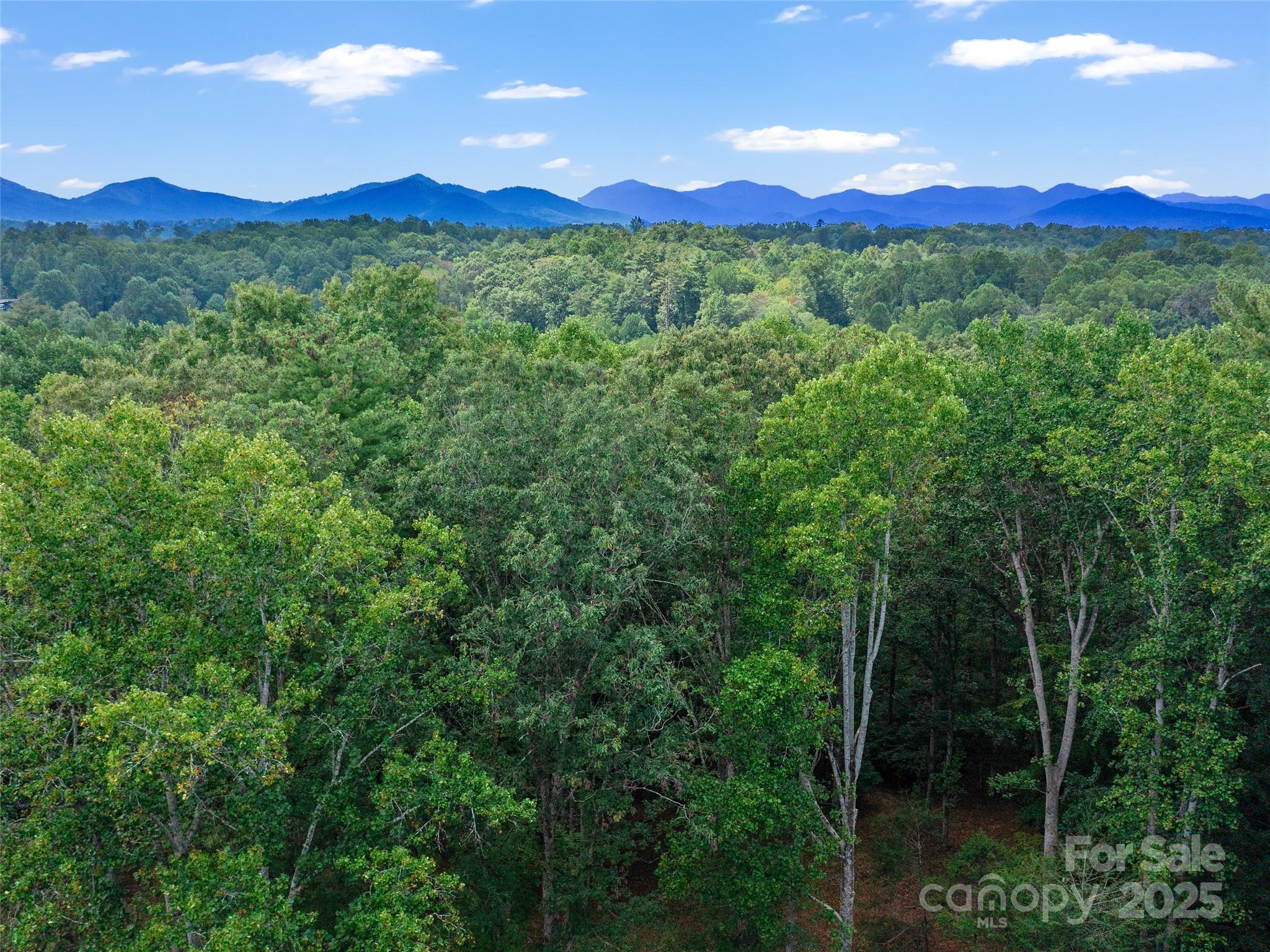 631 Macedonia Road Asheville NC 28804