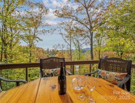 351 Buck Springs Run Mars Hill NC 28754