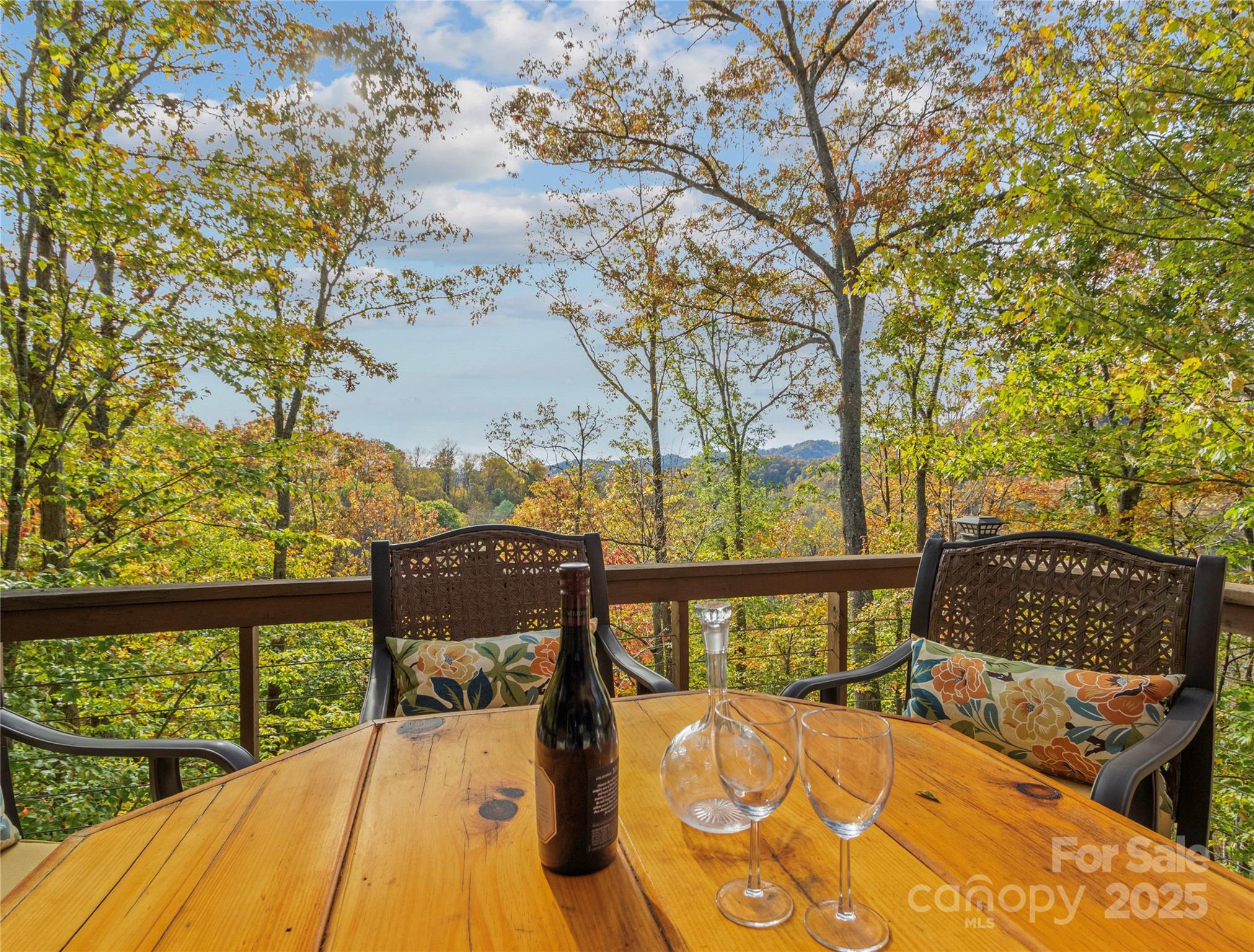 351 Buck Springs Run Mars Hill NC 28754