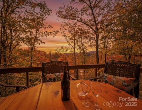 351 Buck Springs Run Mars Hill NC 28754