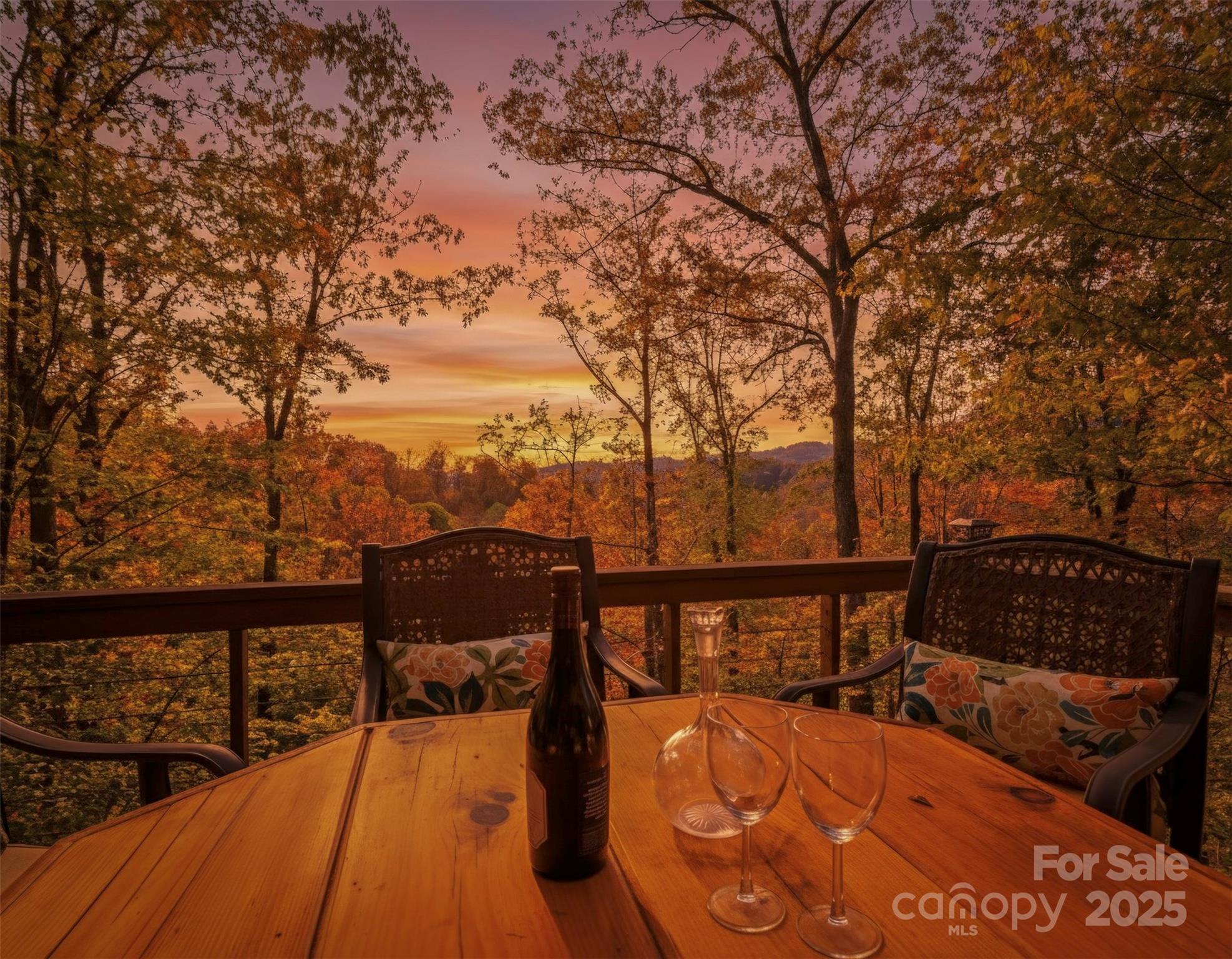 351 Buck Springs Run Mars Hill NC 28754
