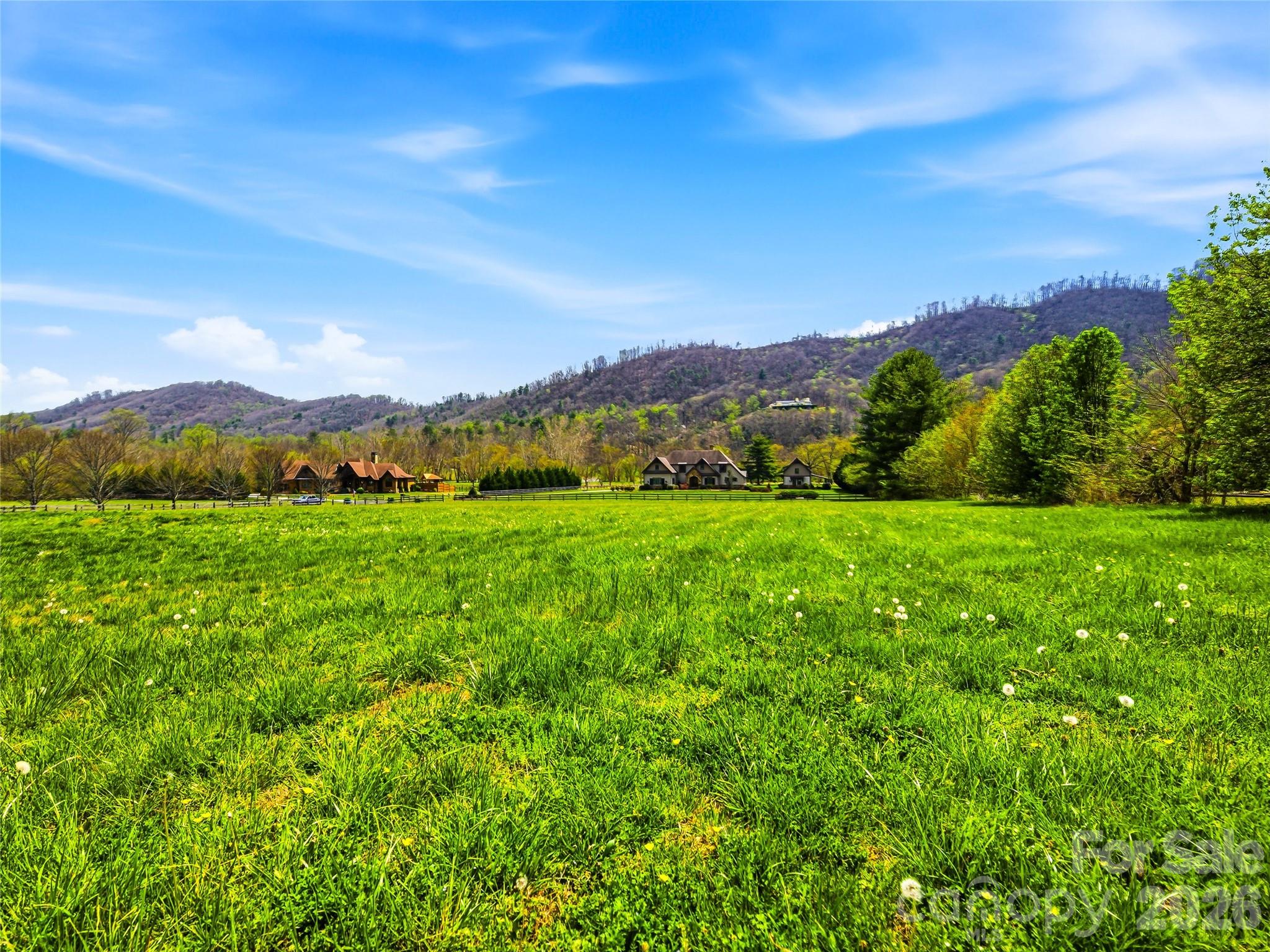 5 Sweetgrass Lane Fletcher NC 28732