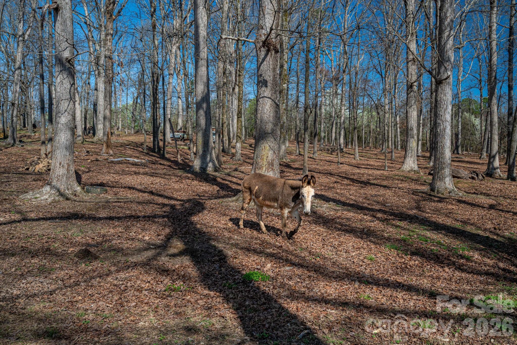 221 Lee Black Road Cherryville NC 28021