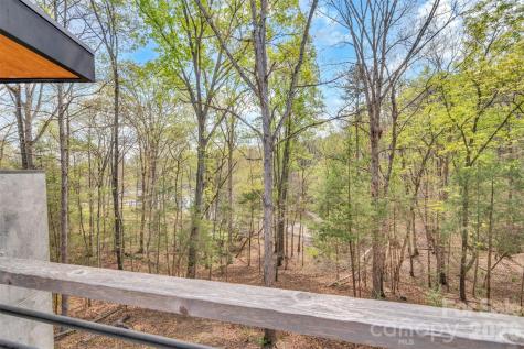 386 Squirrel Lane Clover SC 29710