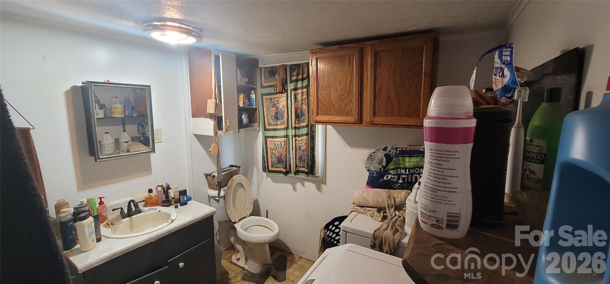 60 Mingus Street Canton NC 28716