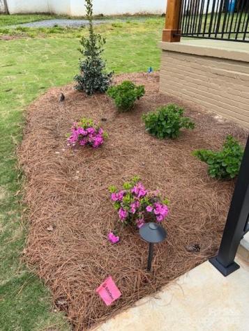406 Williamson Street Fort Mill SC 29715