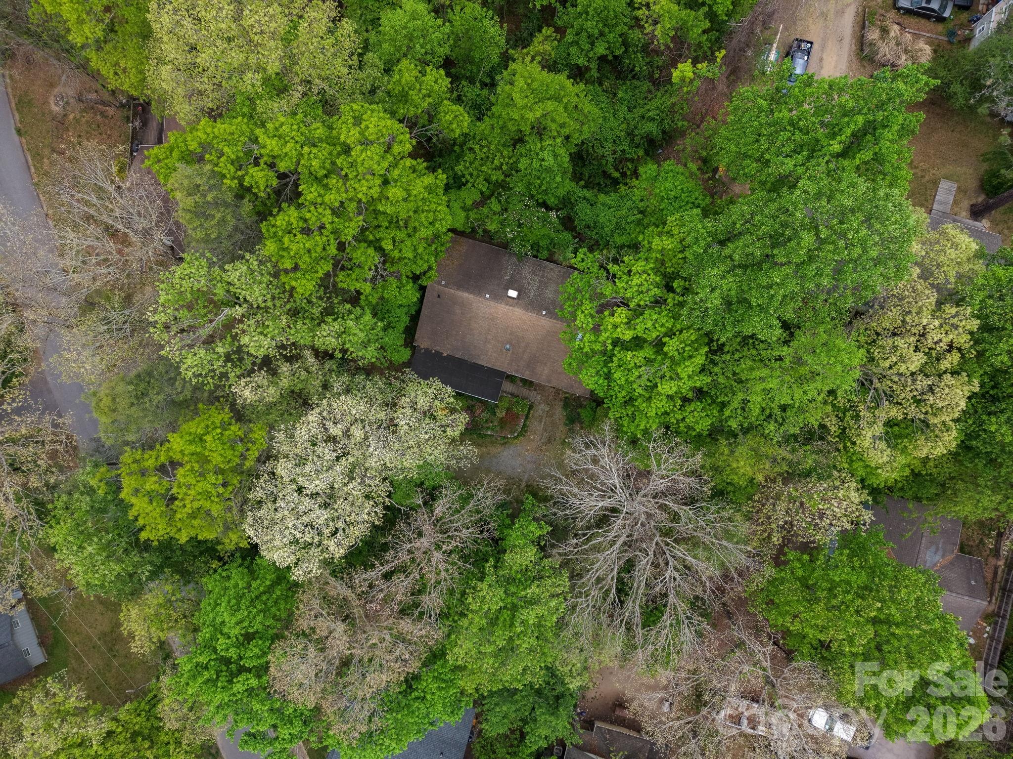 257 Pine Street Black Mountain NC 28711