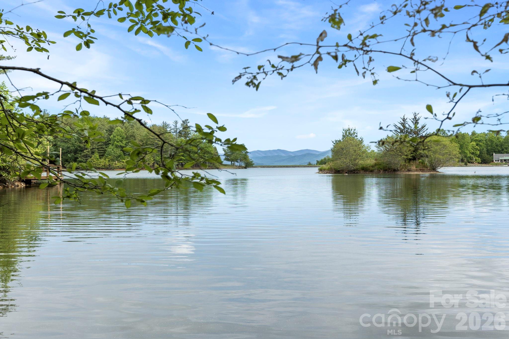 1592 Eagle Lake Drive Brevard NC 28712