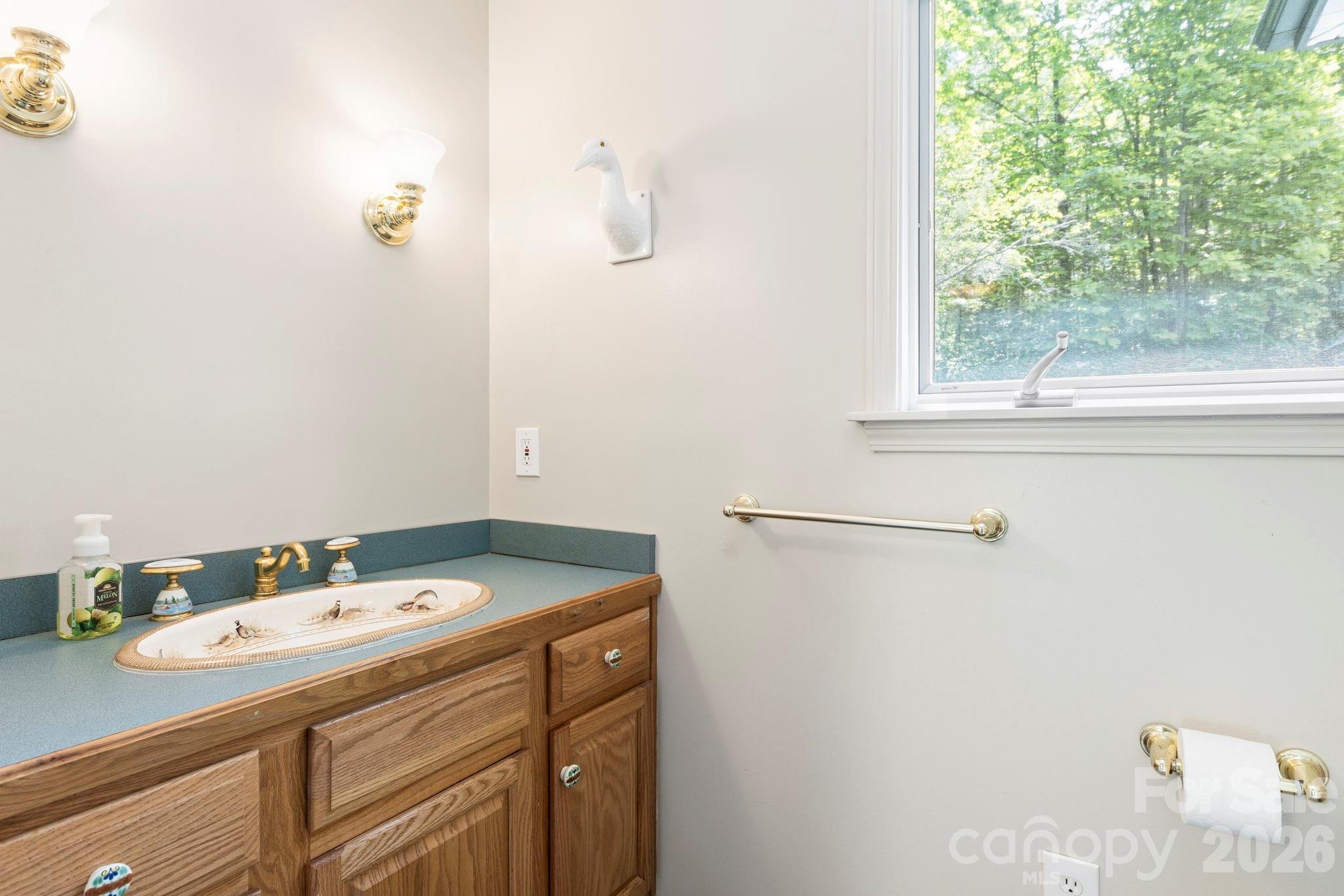 1592 Eagle Lake Drive Brevard NC 28712