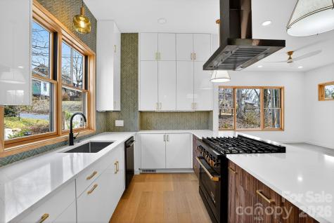 8 Houston Street Asheville NC 28801