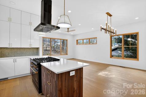 8 Houston Street Asheville NC 28801