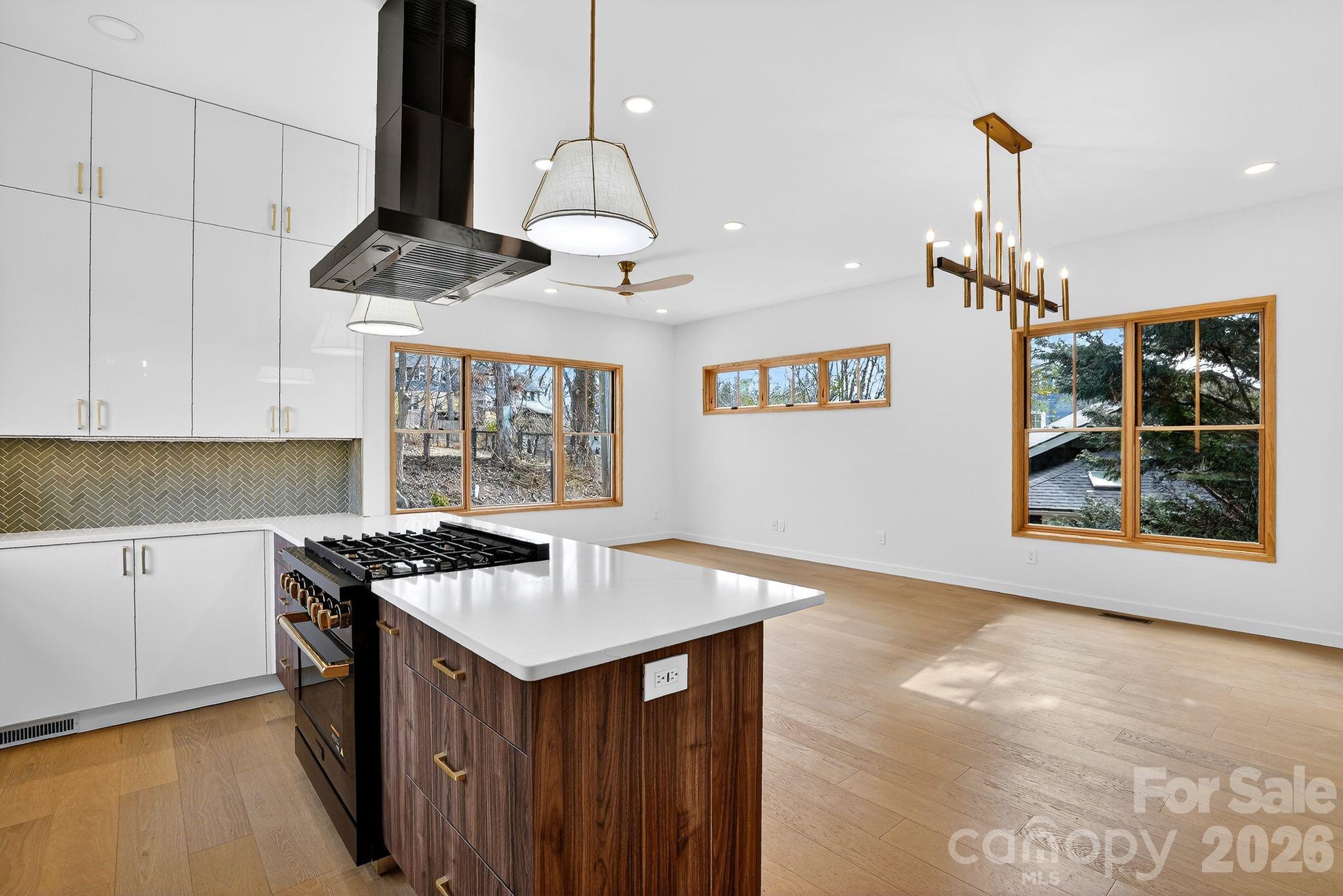 8 Houston Street Asheville NC 28801