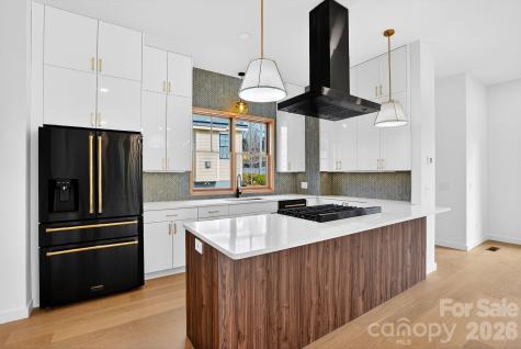 8 Houston Street Asheville NC 28801