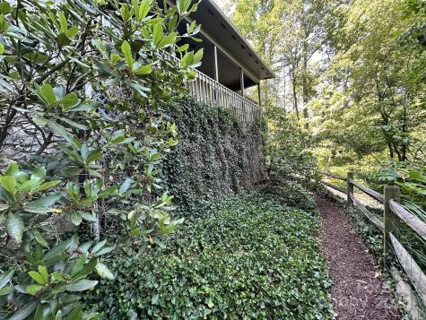 6 Wilderness Cove Road Asheville NC 28804