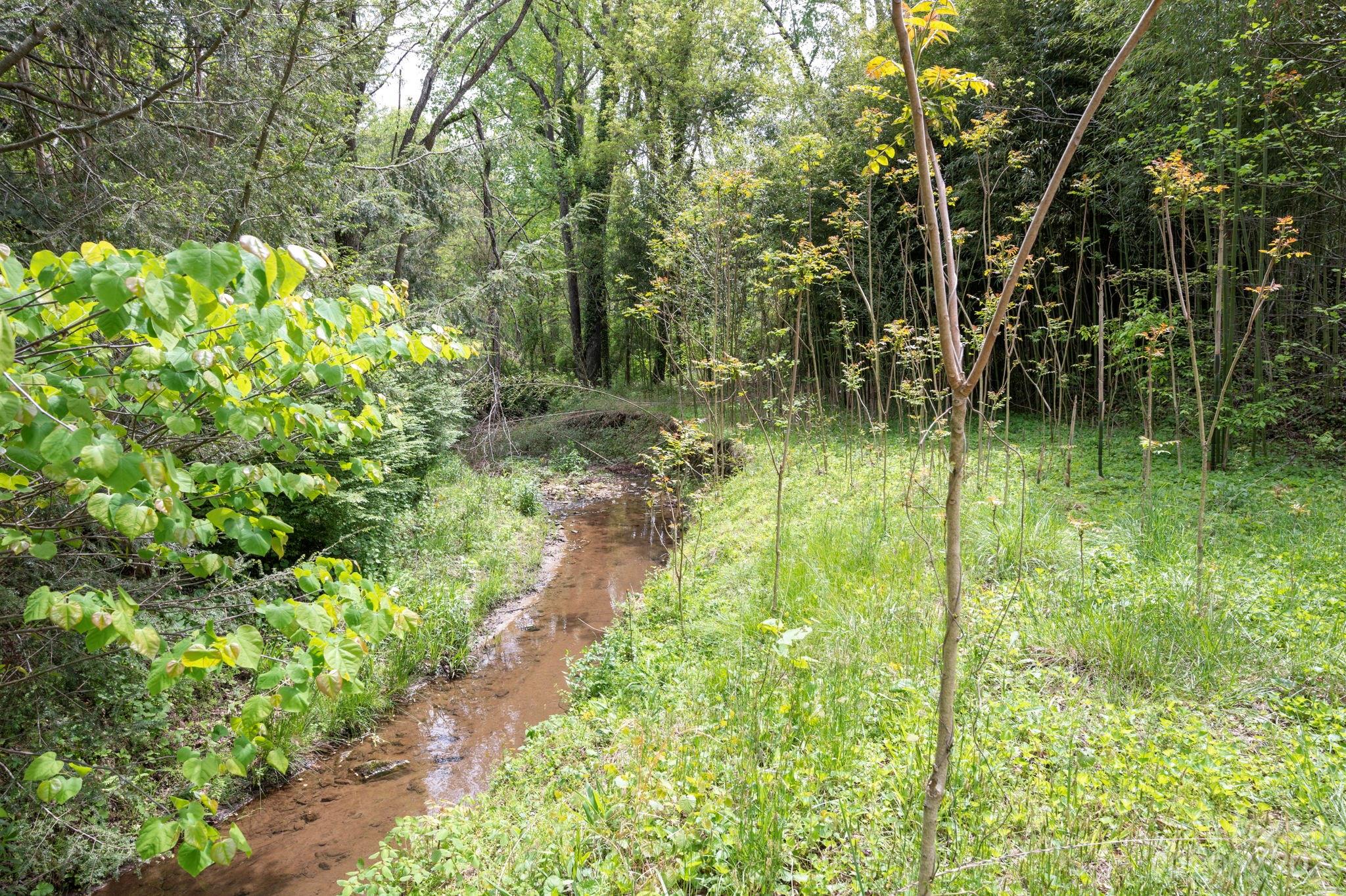 175 Old Haw Creek Road Asheville NC 28805