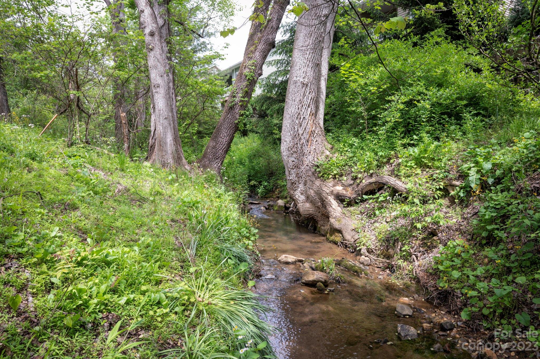 175 Old Haw Creek Road Asheville NC 28805