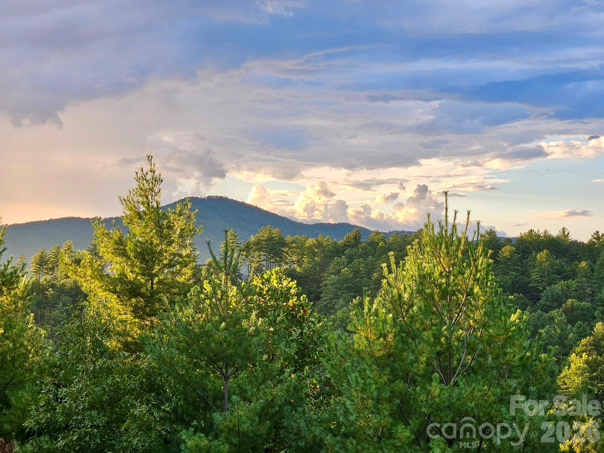 5564 Table View Lane Lenoir NC 28645