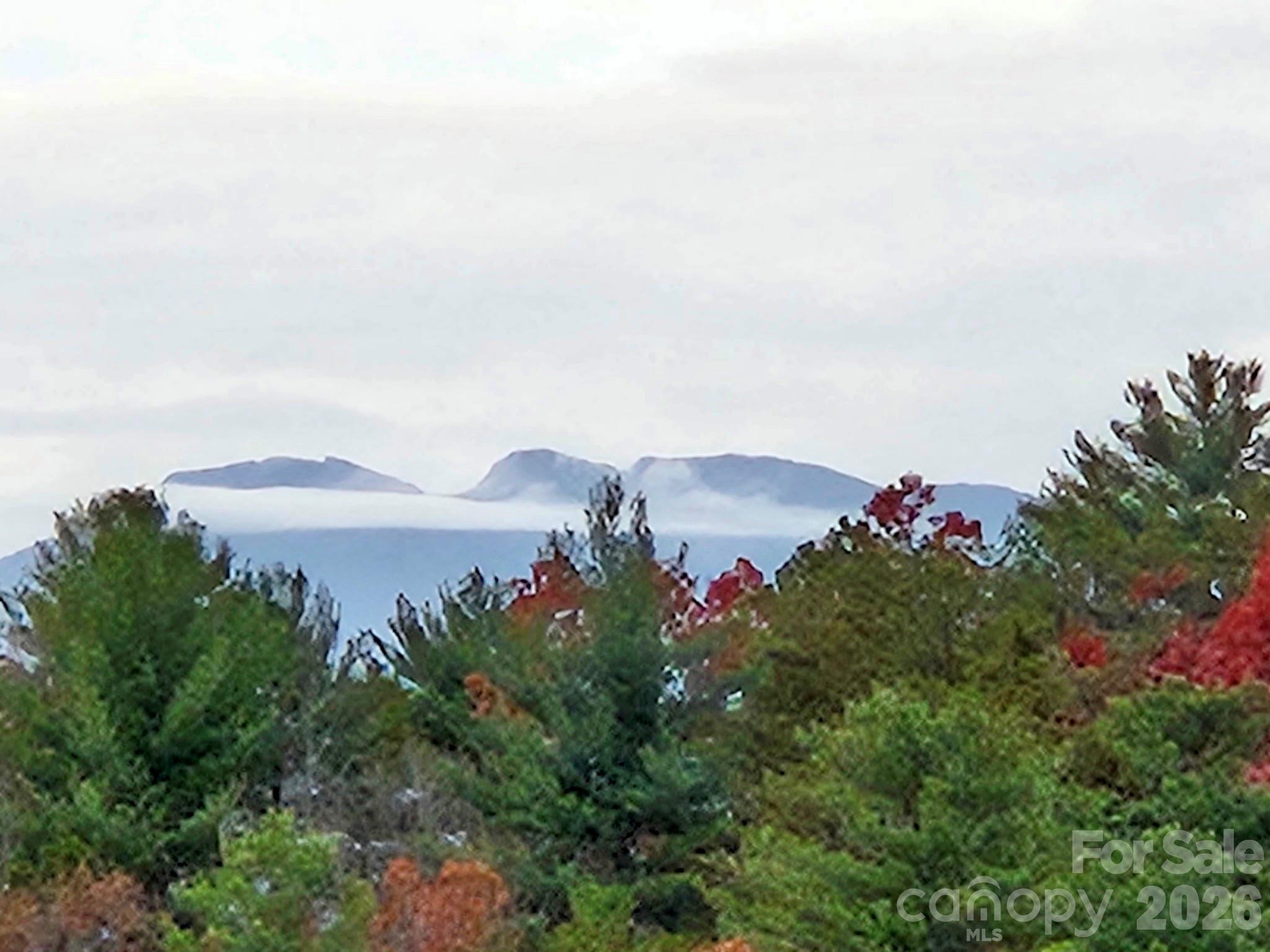 5564 Table View Lane Lenoir NC 28645