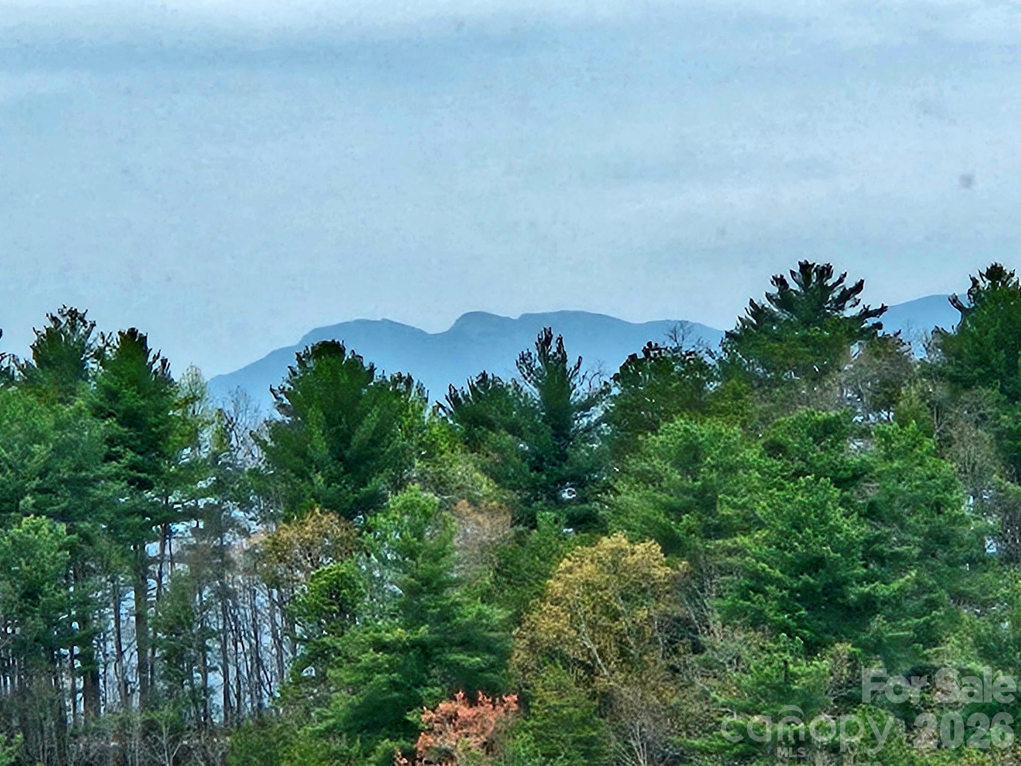 5564 Table View Lane Lenoir NC 28645