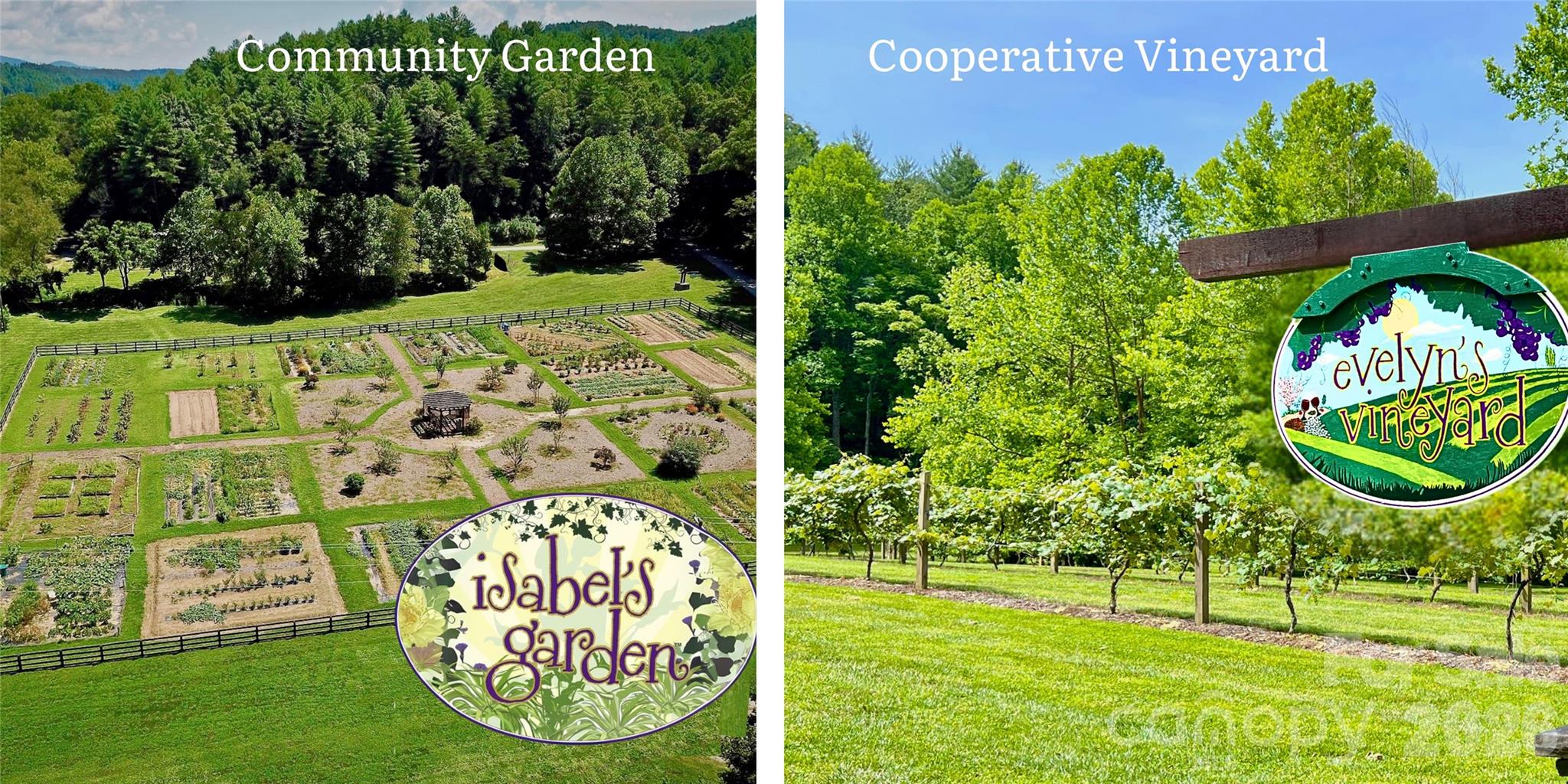 5564 Table View Lane Lenoir NC 28645