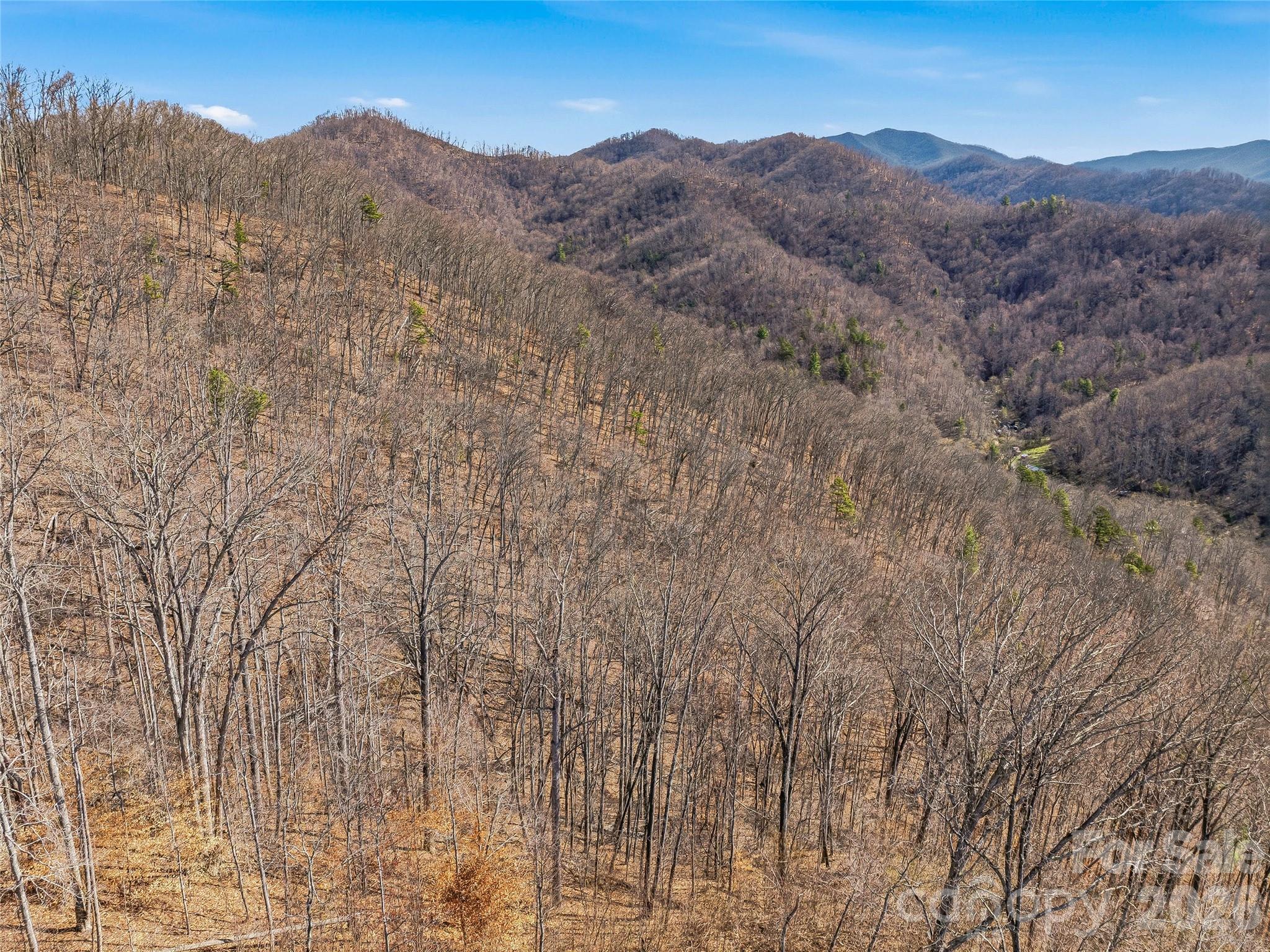 182 Whittemore Branch Road Barnardsville NC 28709