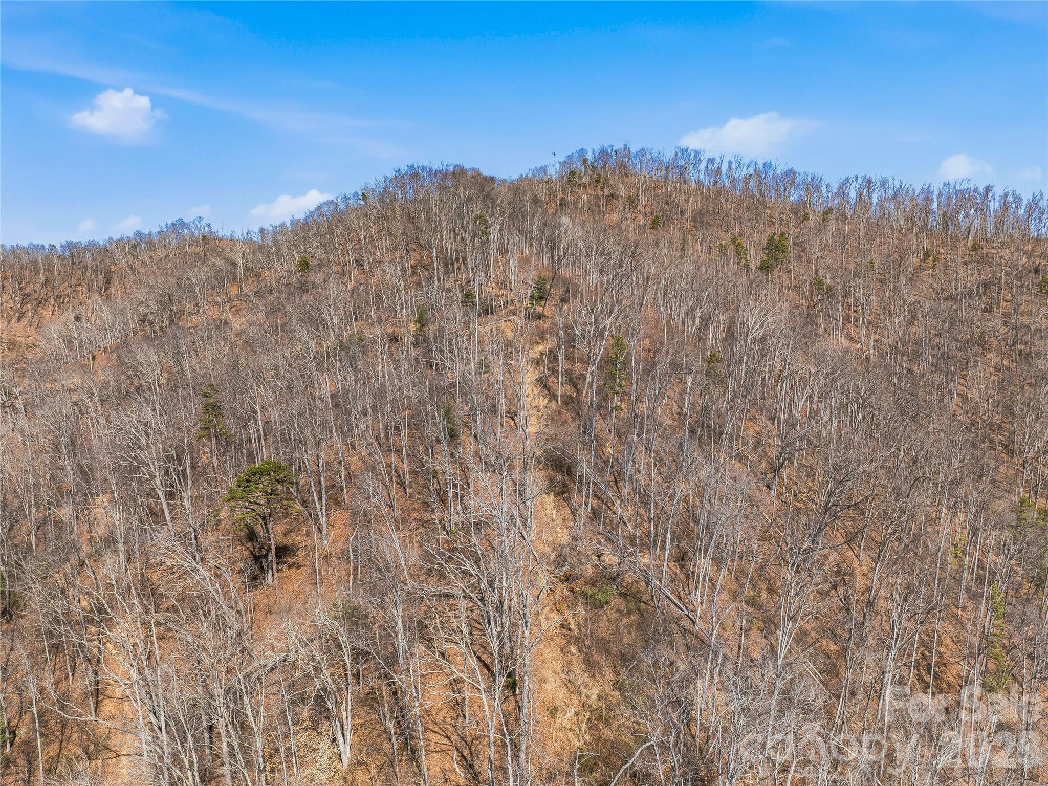 182 Whittemore Branch Road Barnardsville NC 28709