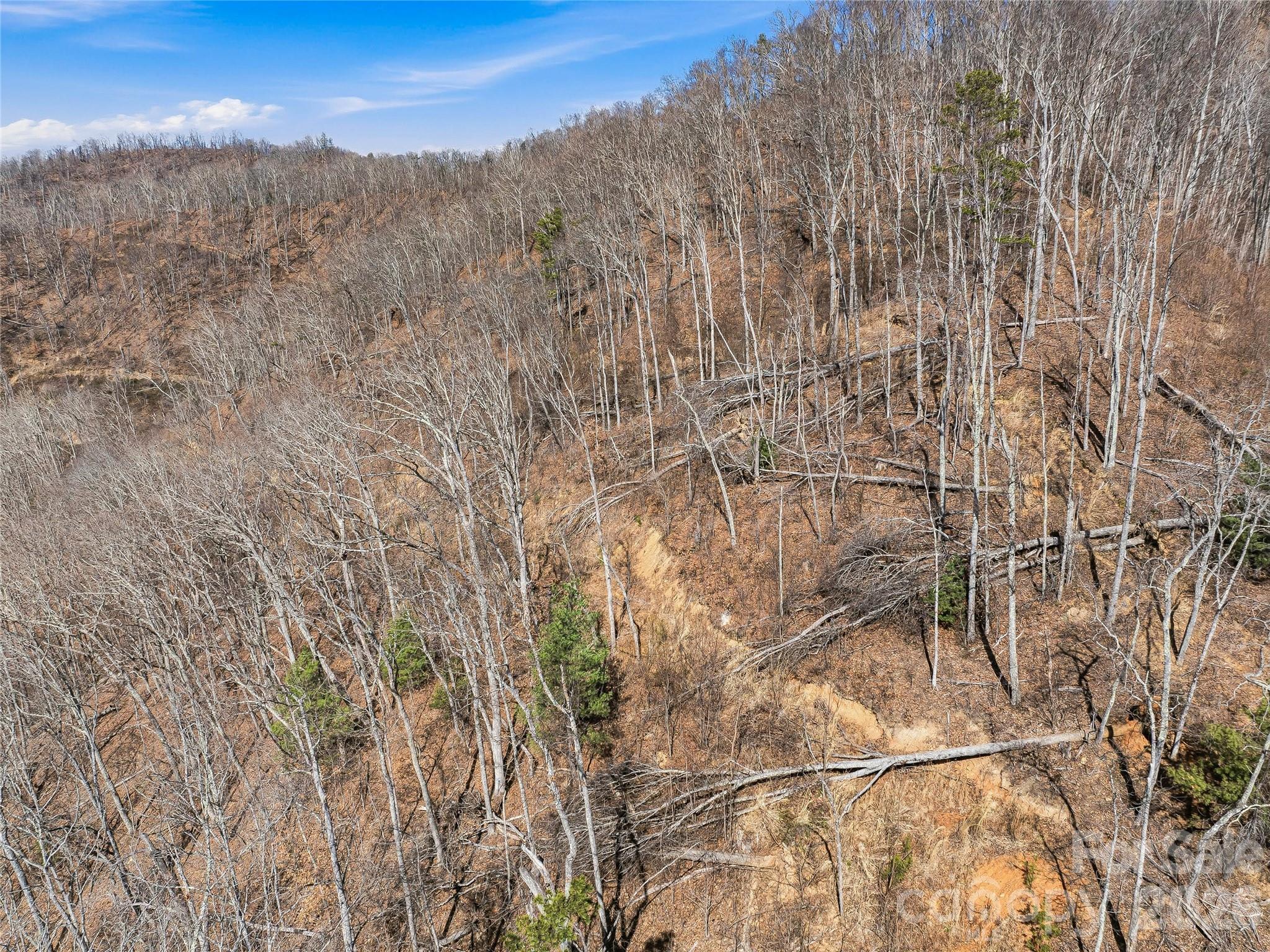 182 Whittemore Branch Road Barnardsville NC 28709