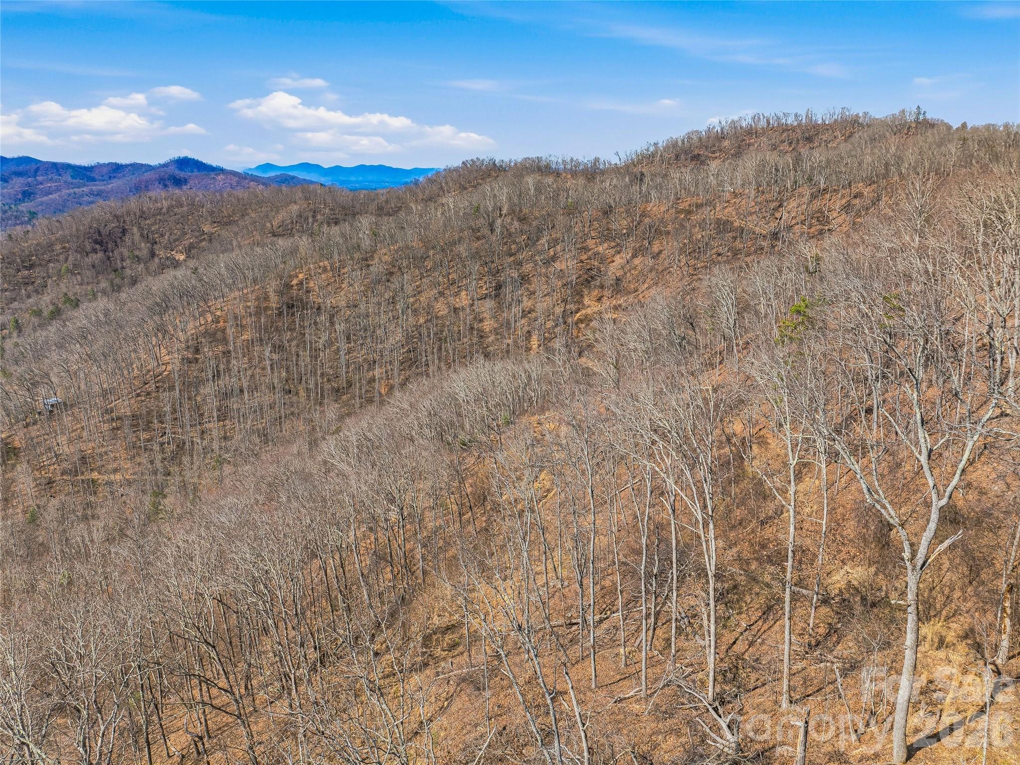 182 Whittemore Branch Road Barnardsville NC 28709