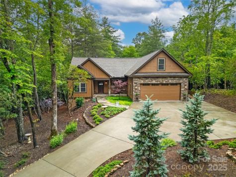 321 Middle Connestee Trail Brevard NC 28712