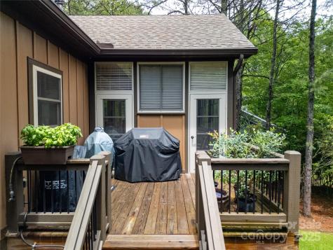 321 Middle Connestee Trail Brevard NC 28712