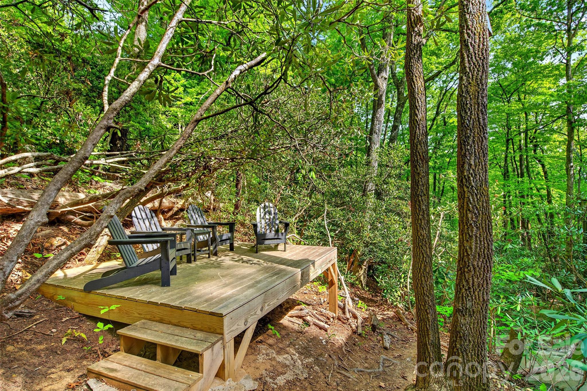 102 Frist Road Montreat NC 28757