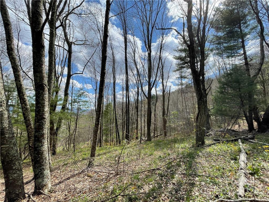 1375 Swing Road Burnsville NC 28714