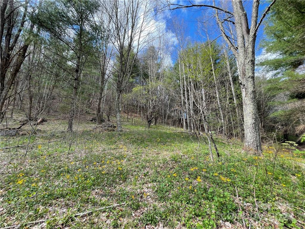 1375 Swing Road Burnsville NC 28714