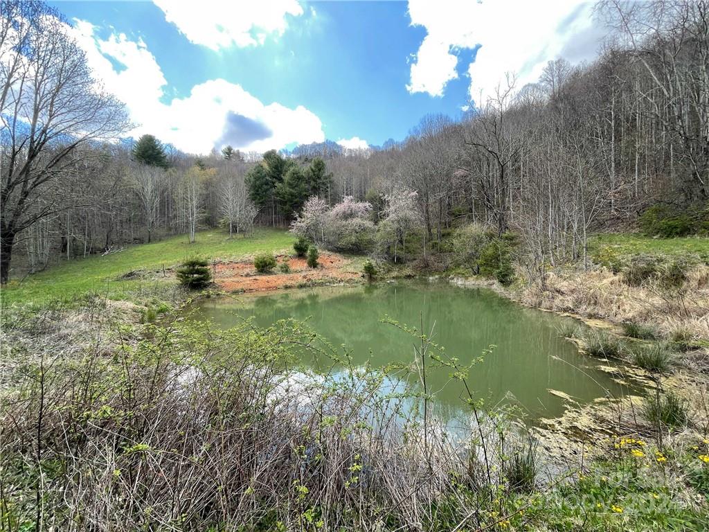1375 Swing Road Burnsville NC 28714