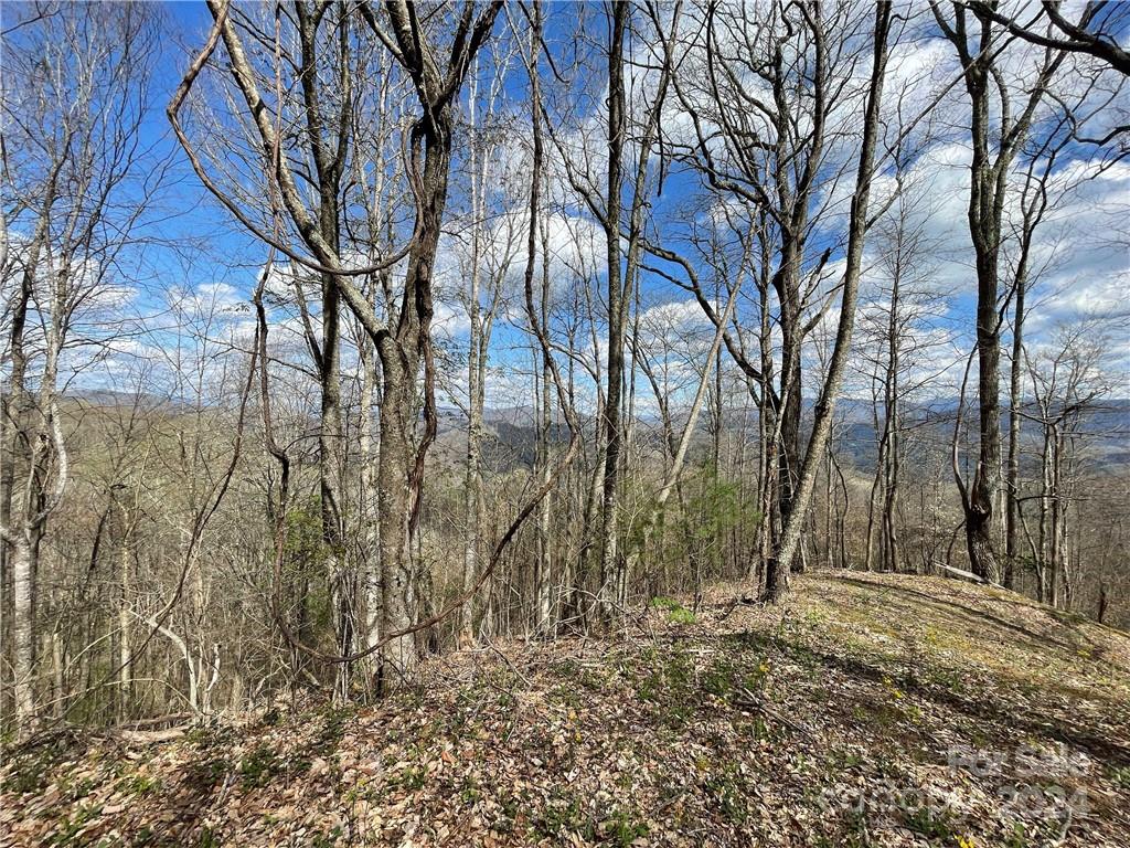 1375 Swing Road Burnsville NC 28714