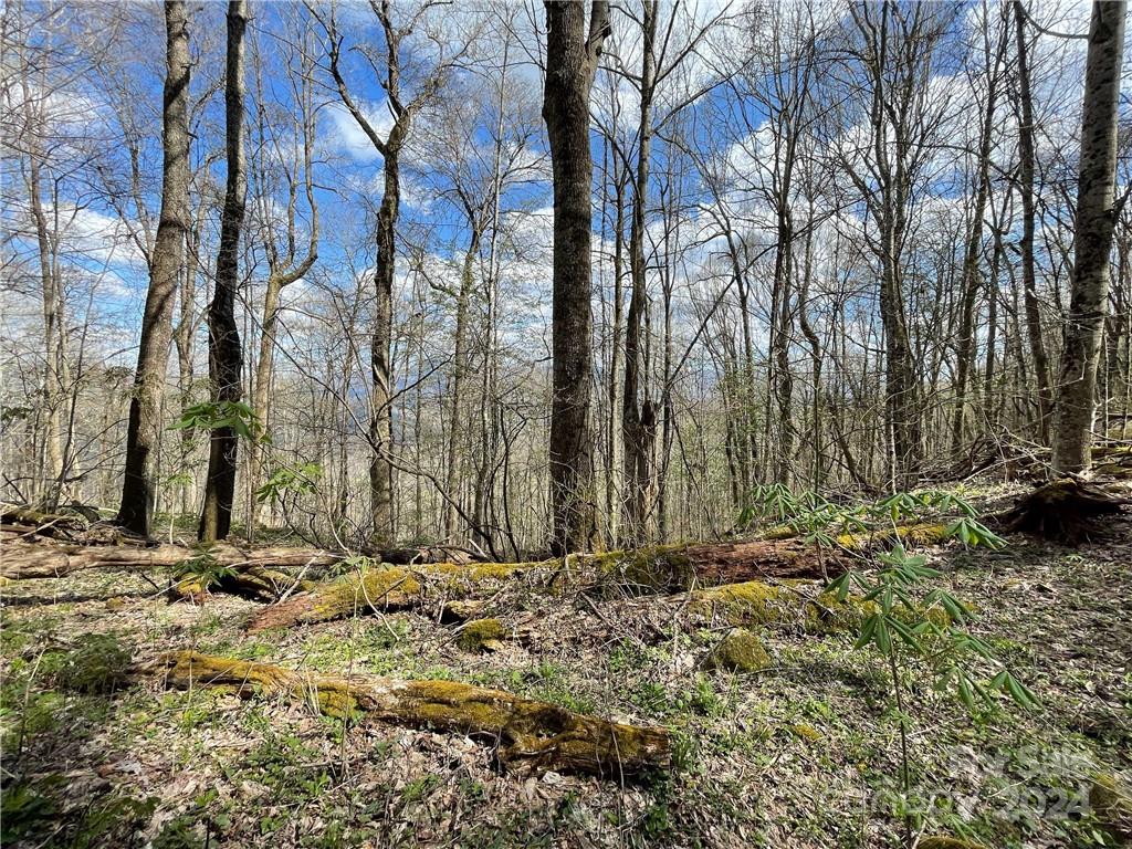 1375 Swing Road Burnsville NC 28714